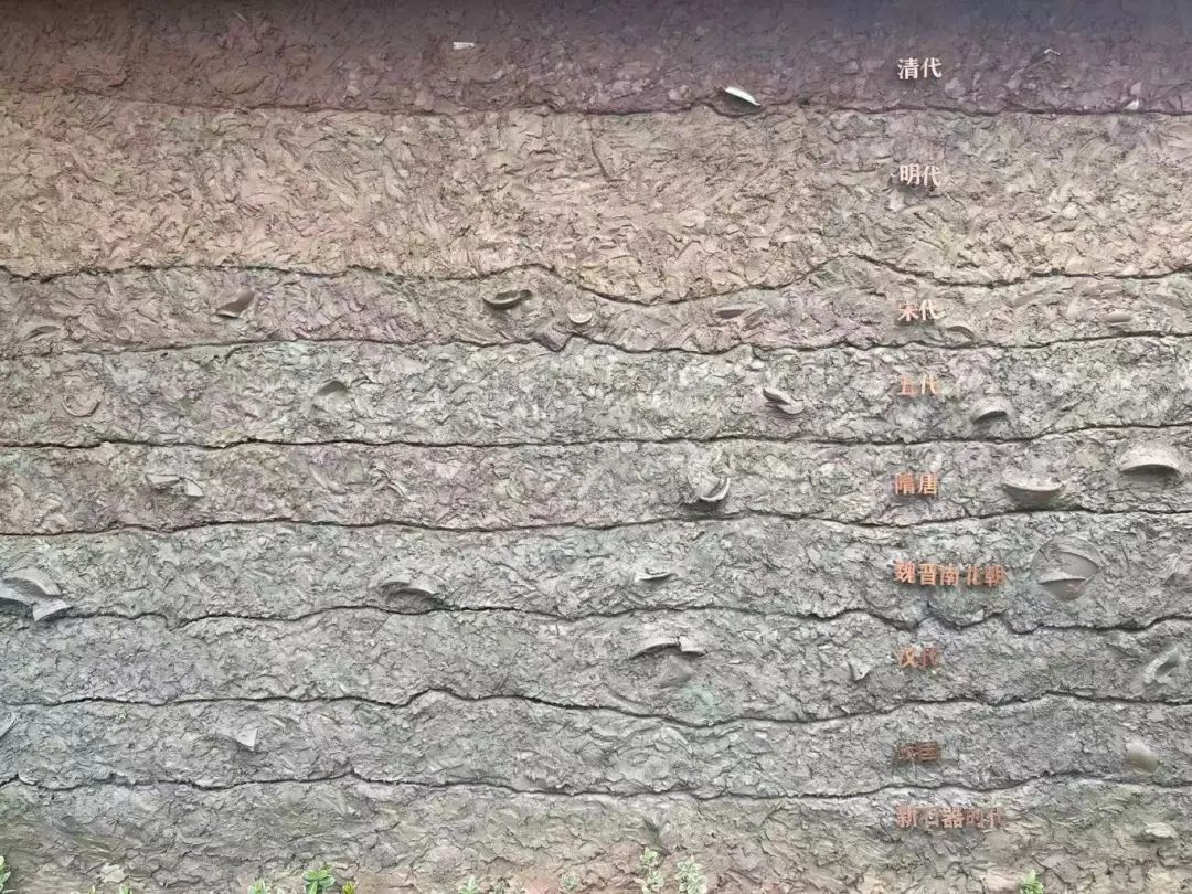 ΢ňDƬ